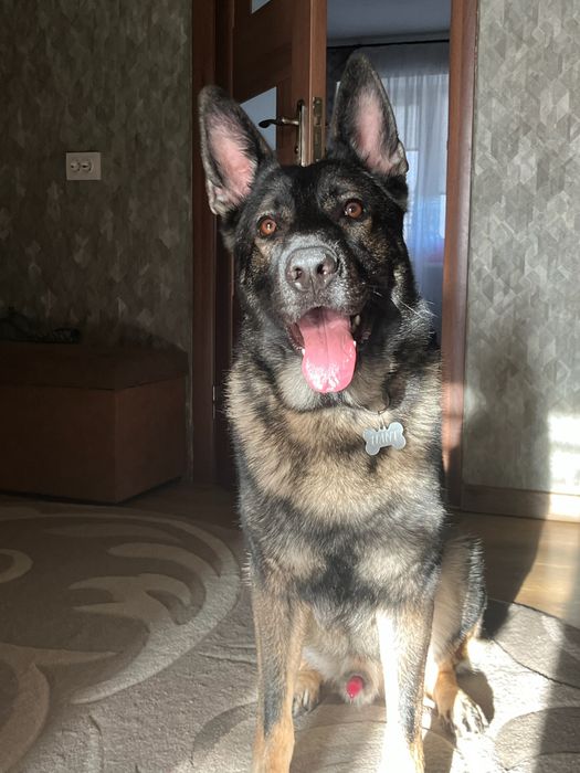 Шукаємо дівчинку для в’язки