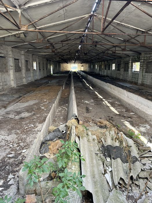 Продам ферму на 900 м2