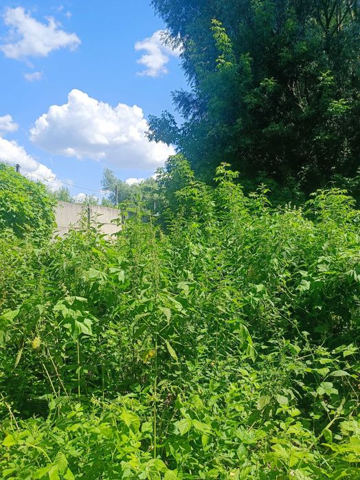Продаю земельну ділянку в Броварському районі, с. Пухівка