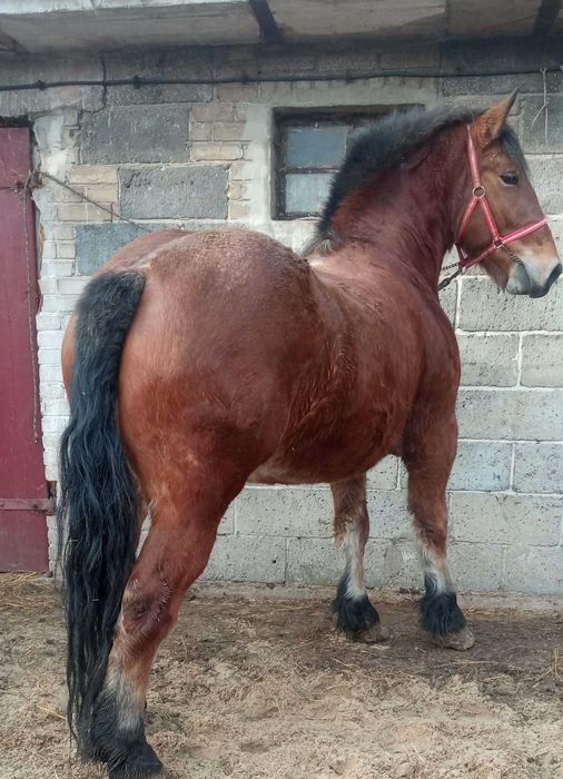 Dla kazdego cos dobrego