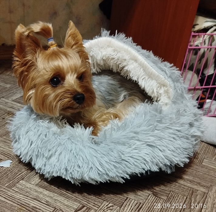 Лежанка для маленьких