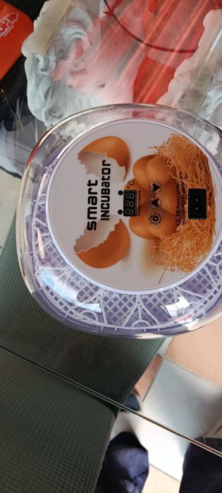 Incovadora para pitos