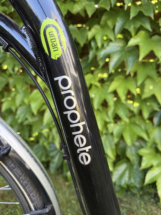 Rower miejski prophete urban city 700