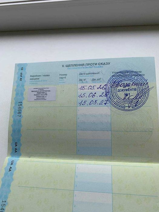 Продам тайских котят   ГОЛУБОГЛАЗАЯ  КРАСОТА