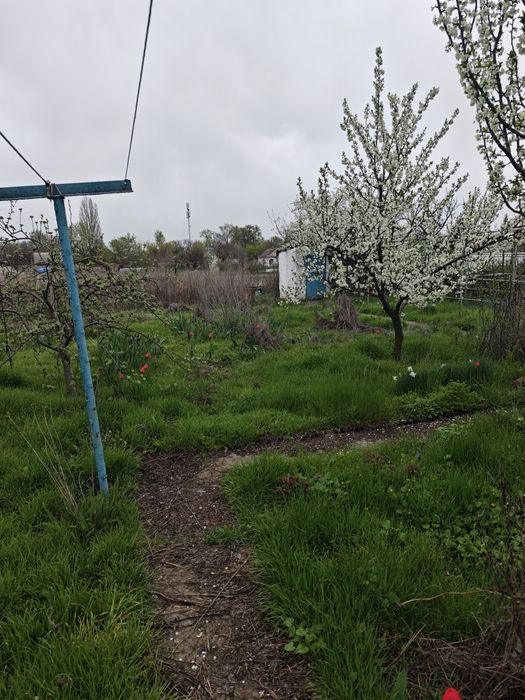 Продам дом  в Березановке