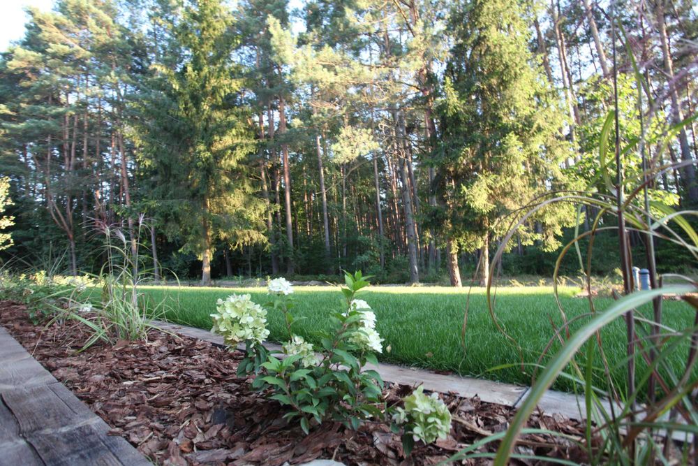 Nowy Domek w lesie, Roztocze, Balia, Altana