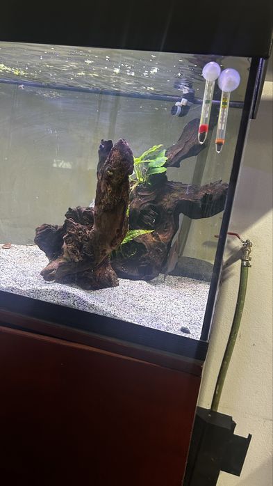 Vendo aquario 200 com 3 discos