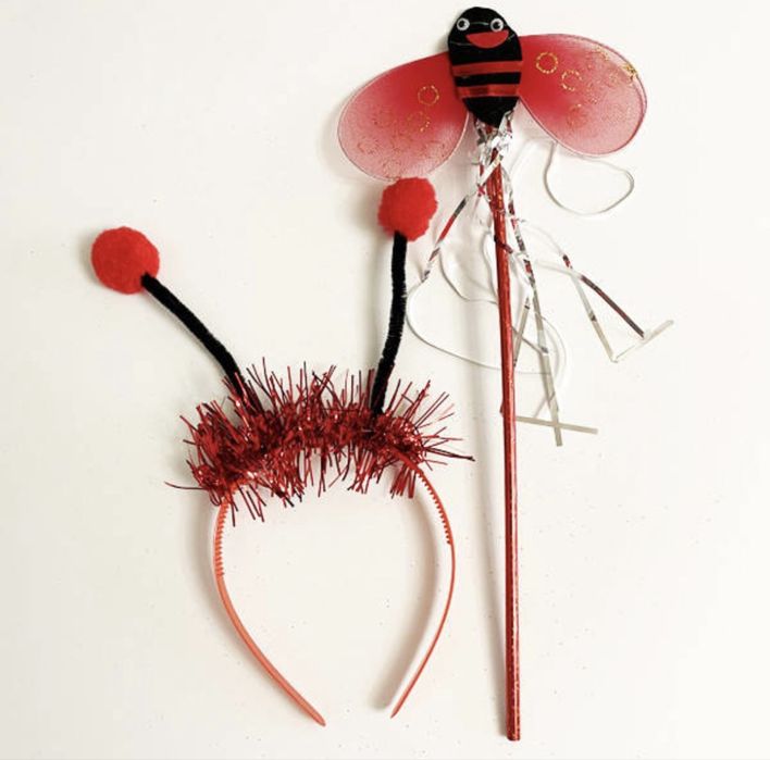 Набір жук-сонечко