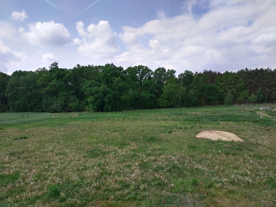 Przemocze | Działka z WZ na dom | Prąd i gaz
Dz