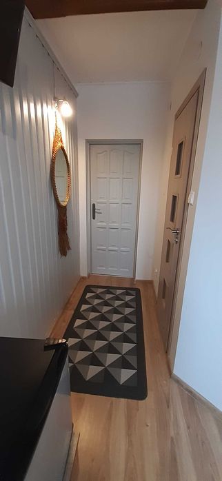 Małe mieszkanie do wynajęcia