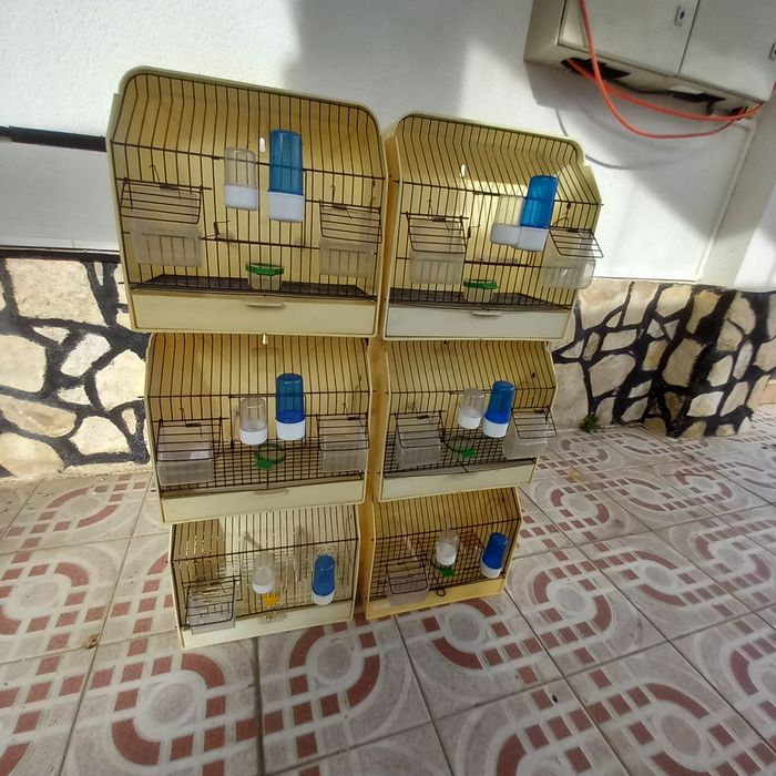 Gaiolas de exposição