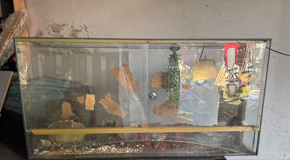 Terrarium dla gekona