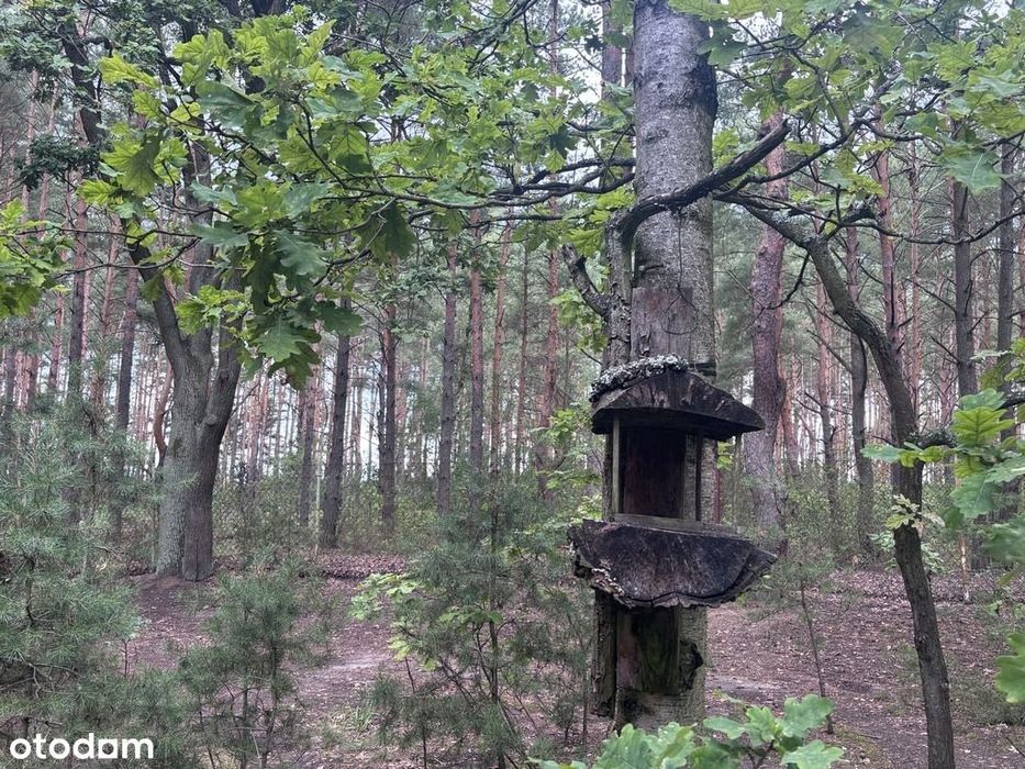 1500 m² pod Twój dom