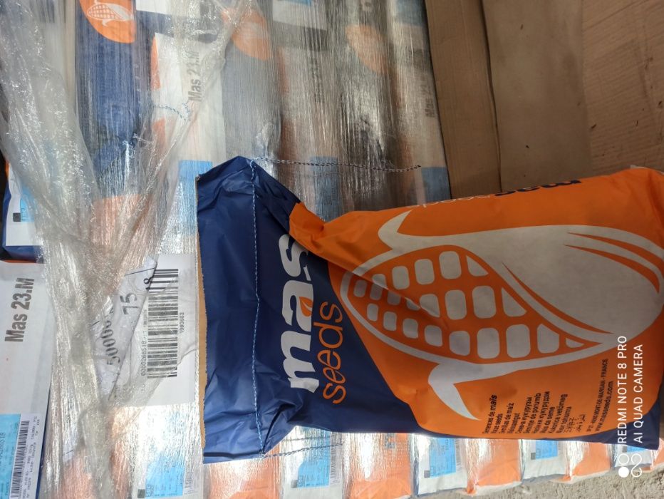 Kukurydza MAS 26K , Mas 29T, Mas 306P, Mas 22R ,Mas 23M, Mas 26R