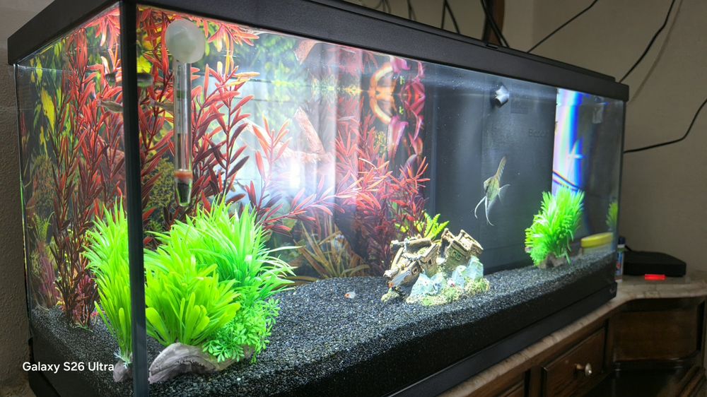 Aquario Aquatlantis