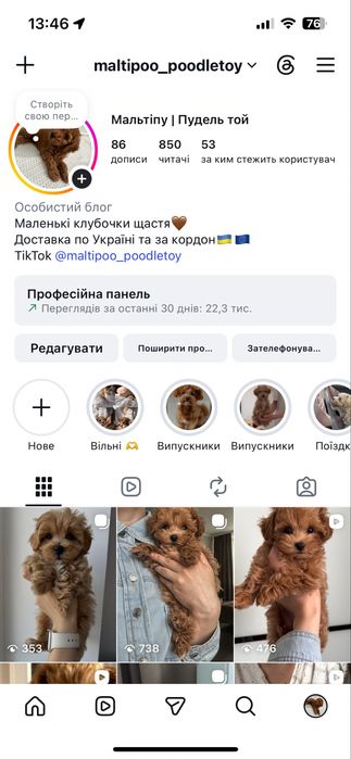 Хлопчик в пошуку сімʼї