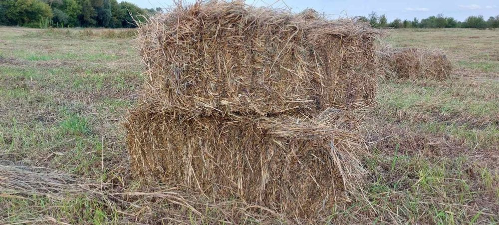 Сіно в тюках, різнотрав'я, лугове сіно