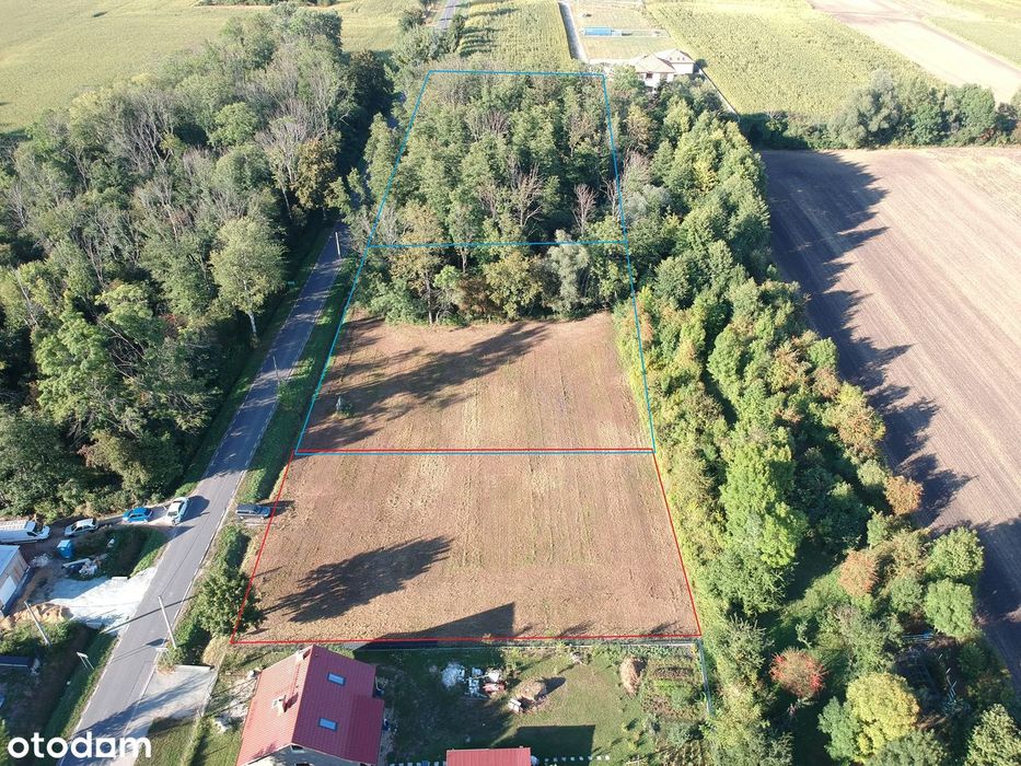 Cudowna działka przy lesie 17a | Gmina Żórawina | Bogunów