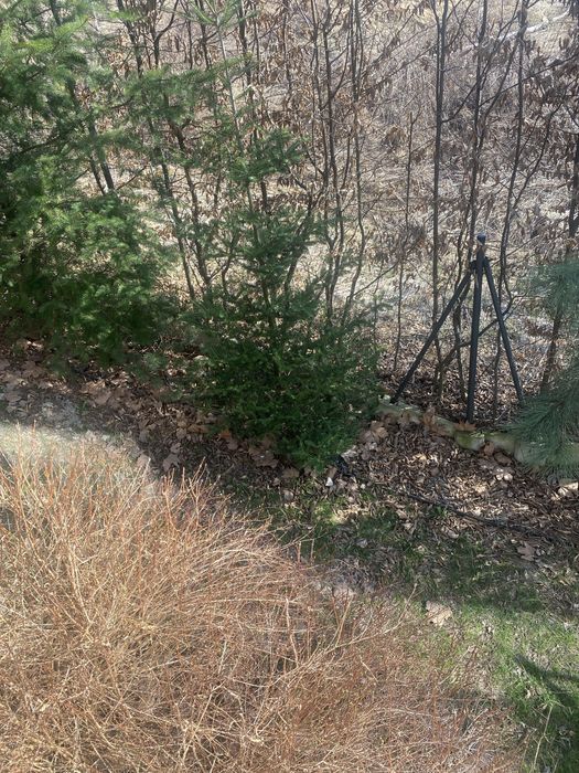 Prace ogrodowe poszukuje osoby do pomocy przy domu