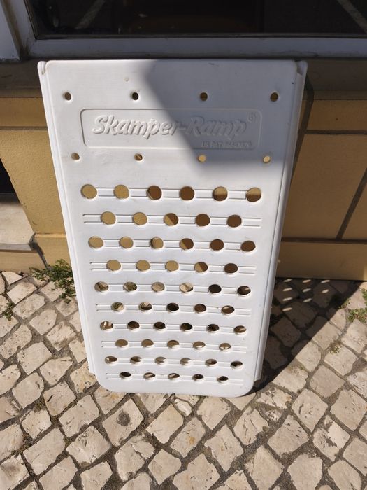 Rampa para cães piscina
