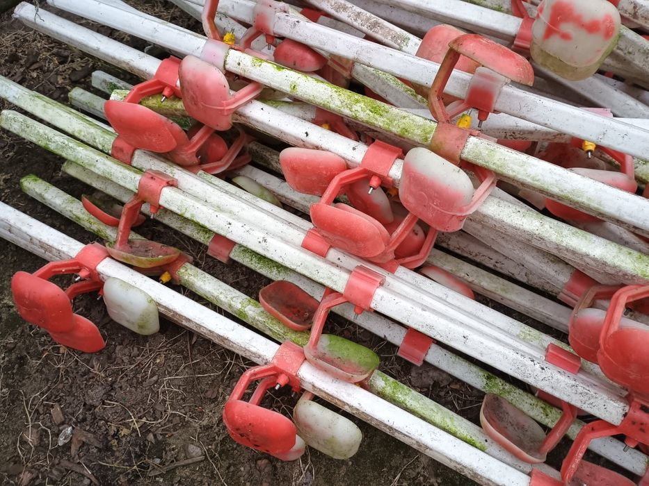 Linia pojenia,poidło kropelkowe dla drobiu