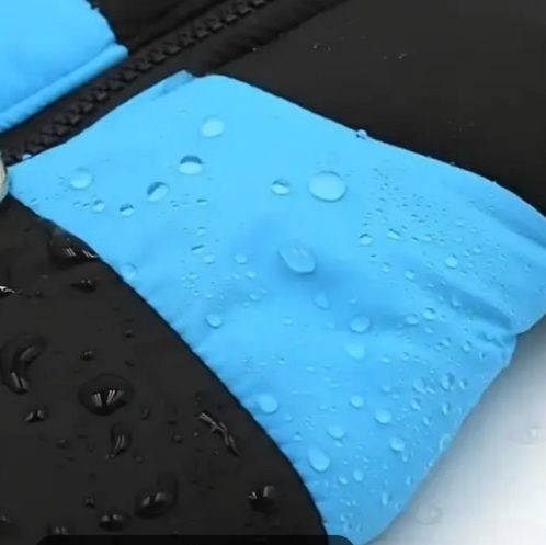 Одяг для собак та котиків