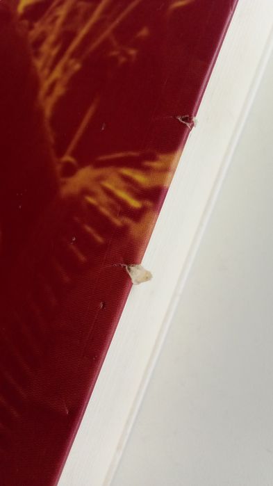 Livro Memórias de um Guerrilheiro