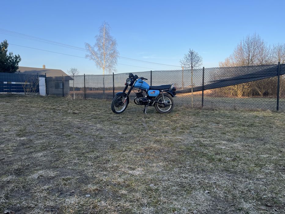 Mz
