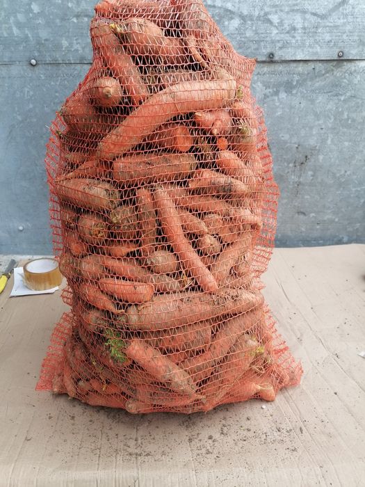 Marchew odpadowa paszowa 25 kilo