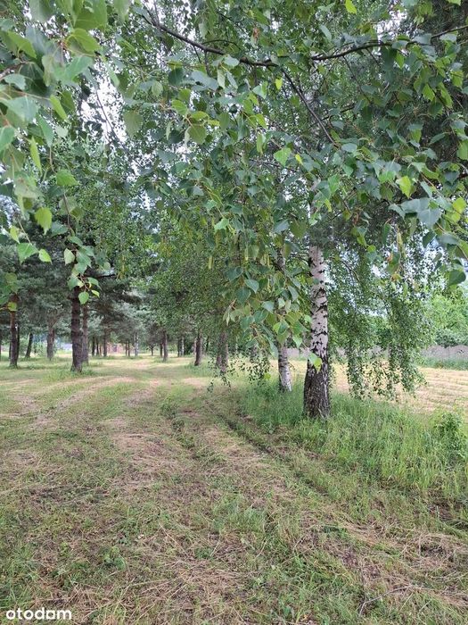 Dom i działka budowlana w Rokitnie Szlacheckim, gmina Łazy - Widok 2