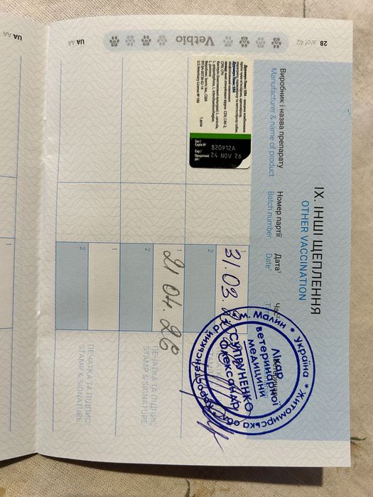 Віддам цуценят в добрі руки!