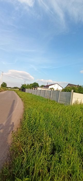 Продам земельну ділянку в Шкарівці