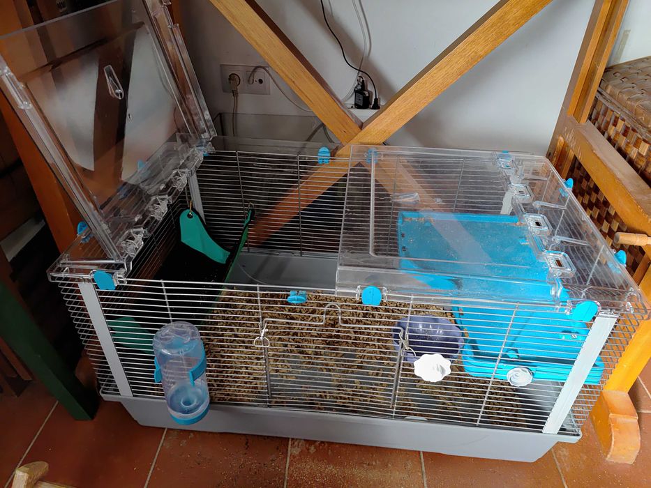 Gaiola de roedores como nova