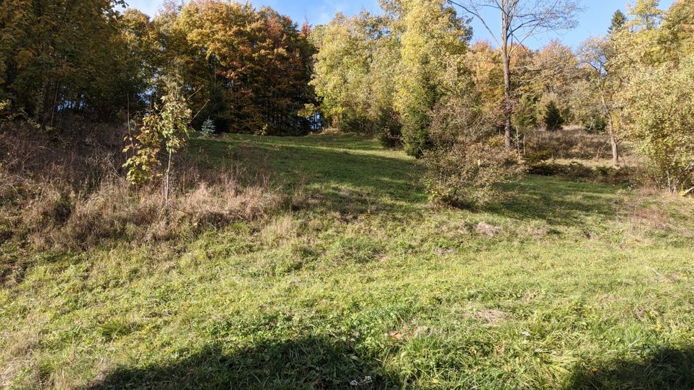 Działka na sprzedaz w Beskidach - Więcej