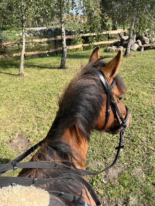 Siedlisko nocleg na wsi domek dom nad jeziorem wakacje urlop