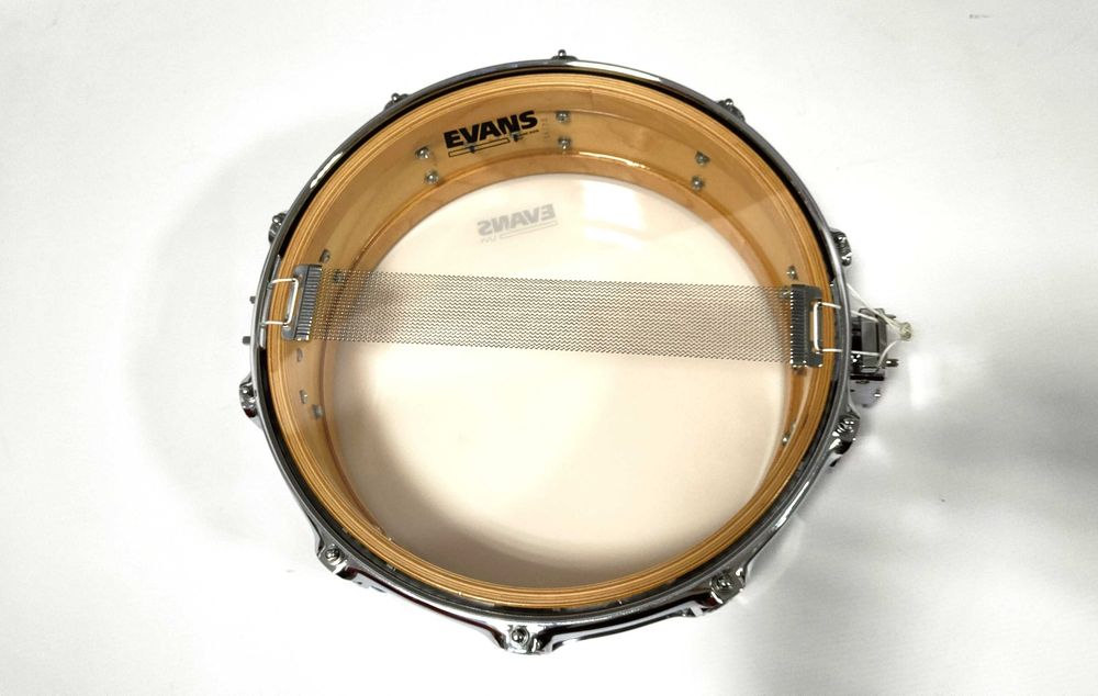 Werbel DW Collectors All Maple Shell 14 x 4,5"