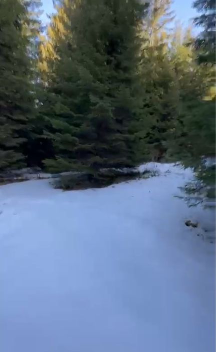 Земельна ділянка з ЛІСОМ на територіі .