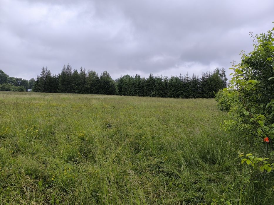 Działka 1192m2 z warunkami zabudowy.