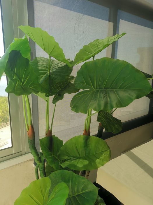 Planta decorativa com vaso interior