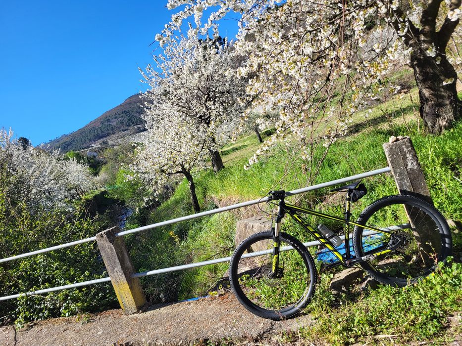 Bicicleta Scott Scale 980