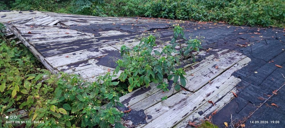 Oddam drewno ze starej stodoły