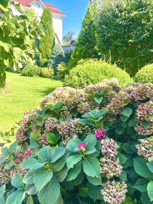 House by the address (area 316 m²) - Atlanta.ua - photo 5