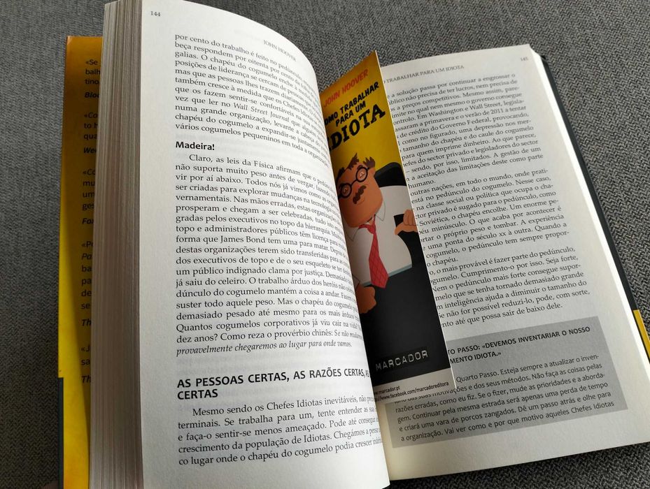 Livro "Como trabalhar para um idiota" de John Hoover