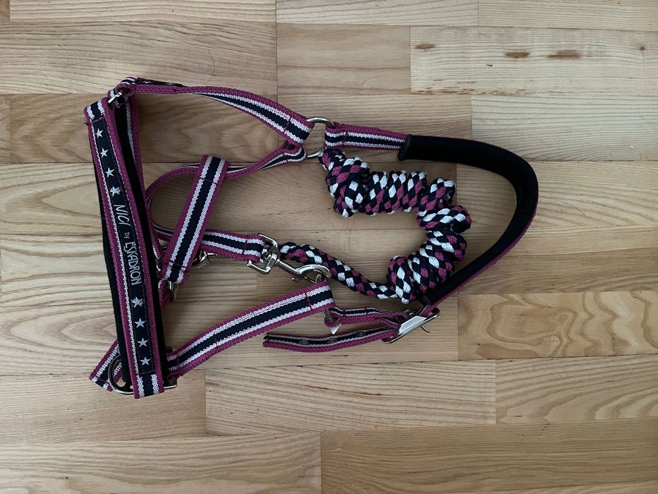 Kantar i uwiąz Eskadron Nici z 2013 roku!