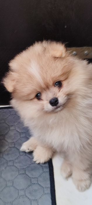 Два необычайной красоты мужчинки