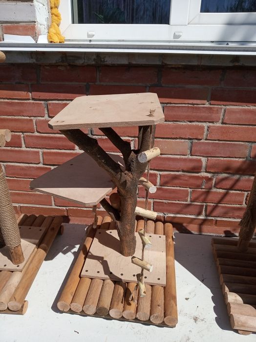 Когтеточка для кота