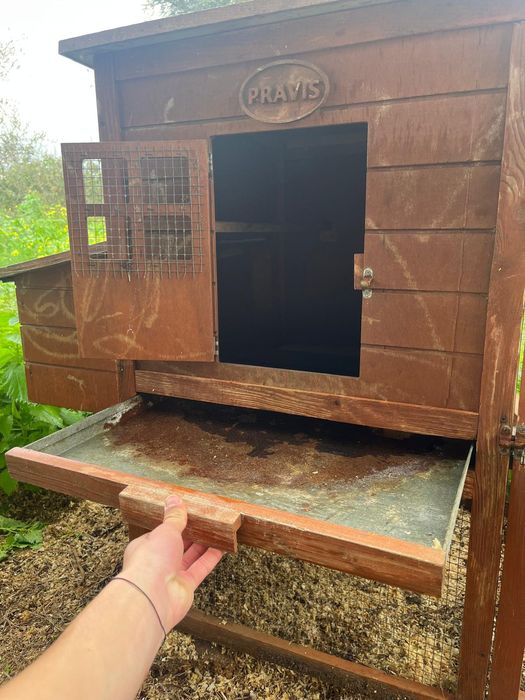 Galinheiro em bom estado