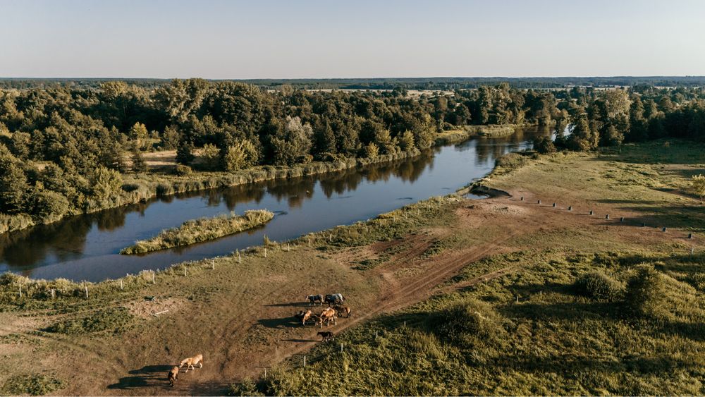 Domek jak z Bajki, Jacuzzi, Rzeka, Konie, Cisza, Las. Piękne widoki.