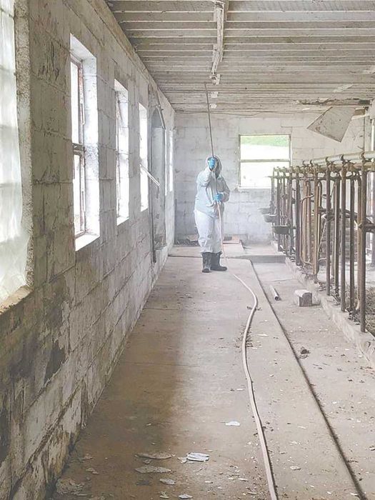 Bielenie, Mycie Malowanie Obory Kurnika Obór Kurników Hali Magazynu