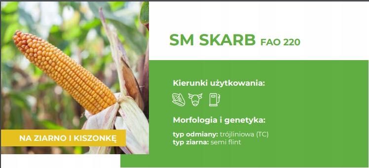 Kukurydza SKARB FAO 220 Z/K C/1 50 tyś nasion